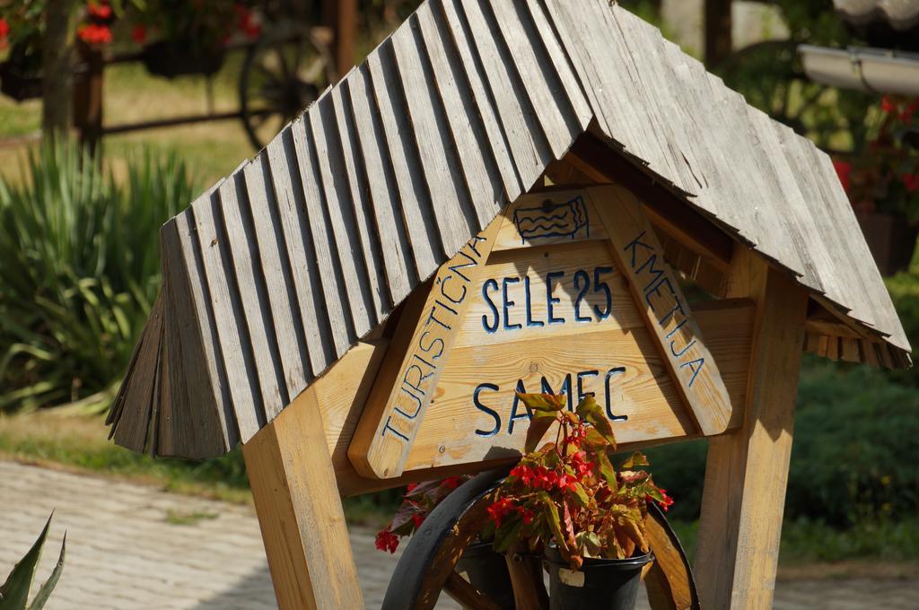 Tourist Farm Samec Villa Sele Buitenkant foto