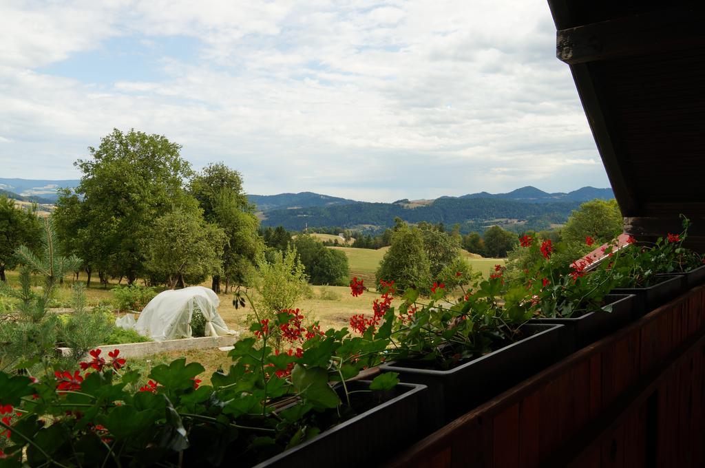 Tourist Farm Samec Villa Sele Buitenkant foto