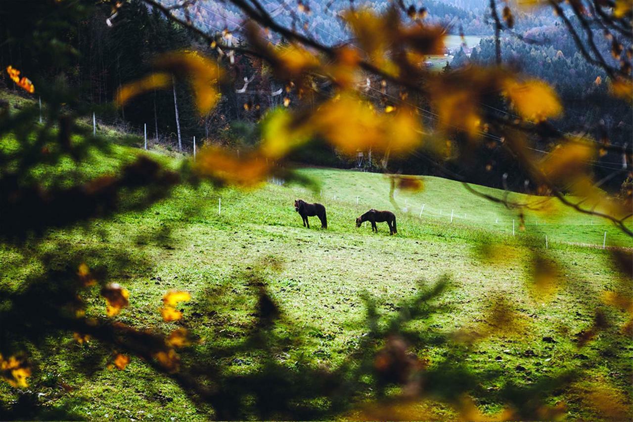 Tourist Farm Samec Villa Sele Buitenkant foto