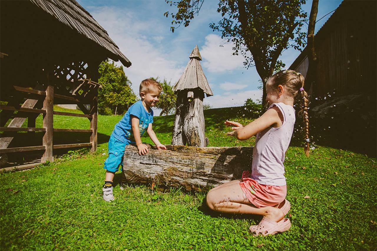 Tourist Farm Samec Villa Sele Buitenkant foto