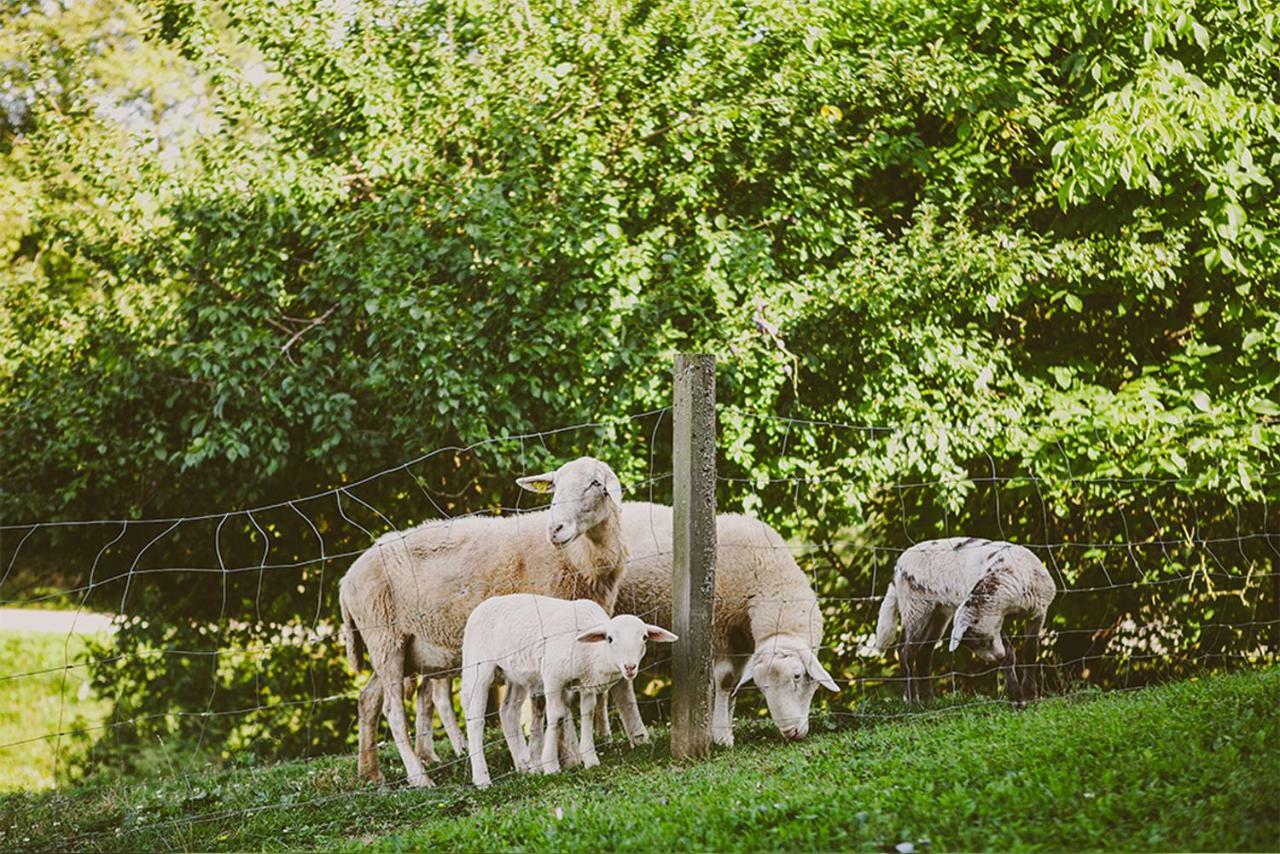 Tourist Farm Samec Villa Sele Buitenkant foto